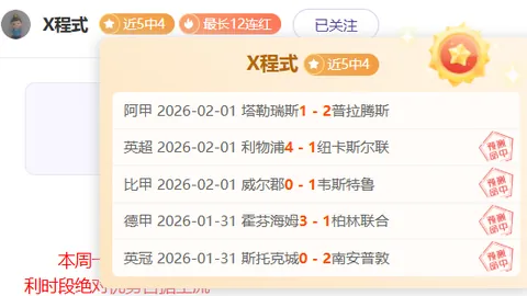 2034年小学生足球盛事2月2日拉开帷幕，报名队伍达680支