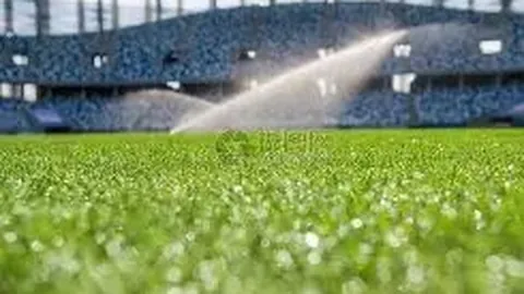 小安娃与施耐德携手赢取迈阿密女双桂冠，三站赛事千分赛冠军入账